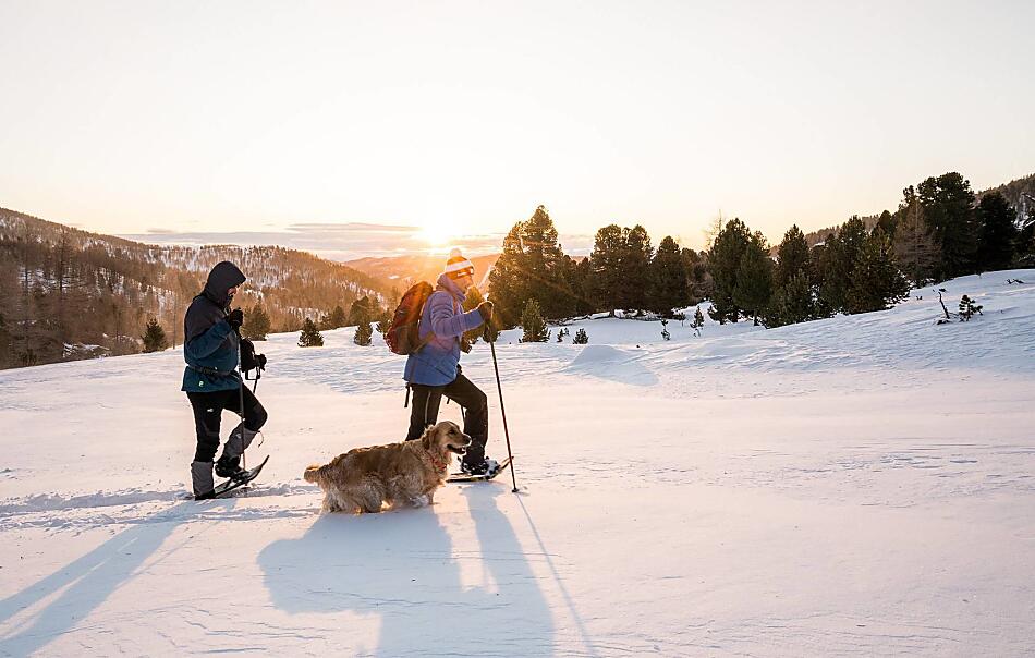 Go Slow with your dog