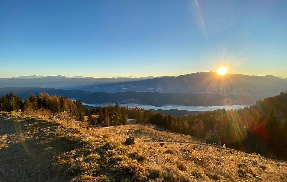 A Week of Swiss Pine Living